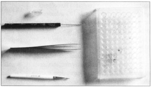 outils.jpg (18335 octets)
